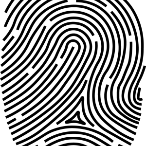 Fingerprint PNG