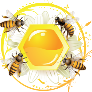 Honey PNG
