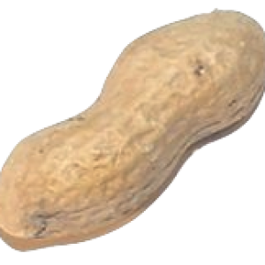 Peanut PNG