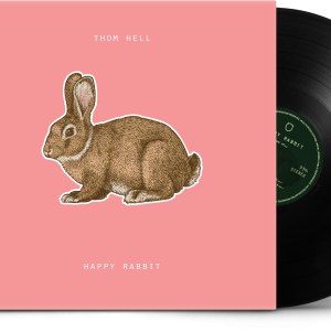 Vinyl record PNG