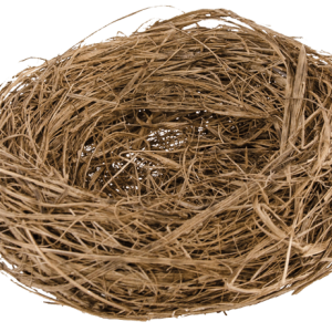Nest PNG