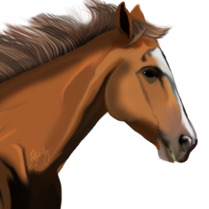 horse png image, free download picture, transparent background