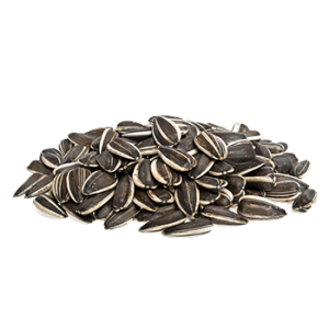 Sunflower seeds PNG