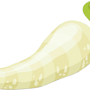 Horseradish PNG