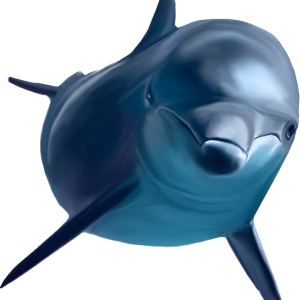 Dolphin PNG