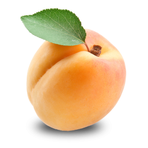 Apricot PNG