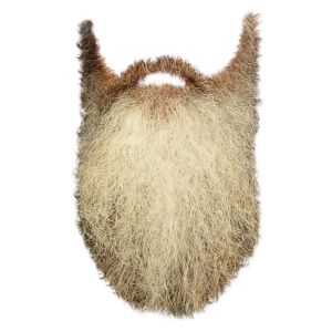 Beard PNG