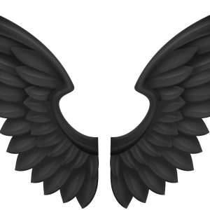 Wings PNG