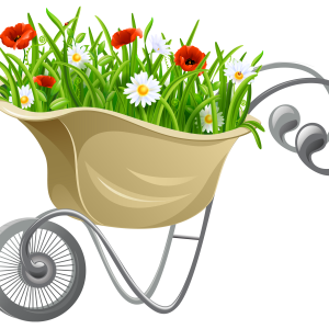Wheelbarrow picture PNG