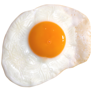 Fried egg PNG