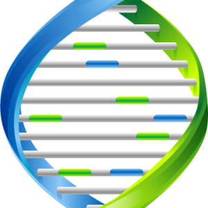 DNA PNG