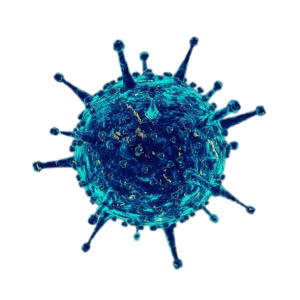 Coronavirus PNG