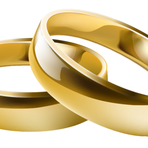 Wedding rings PNG