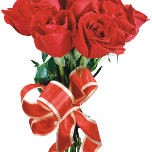 Rose PNG