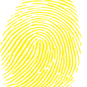 Fingerprint PNG