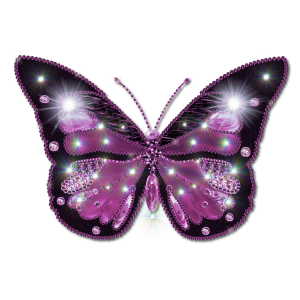 Butterfly PNG image