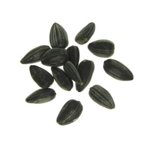 Sunflower seeds PNG