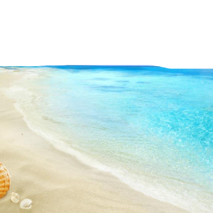 Beach PNG