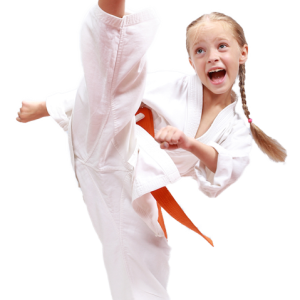 Karate PNG