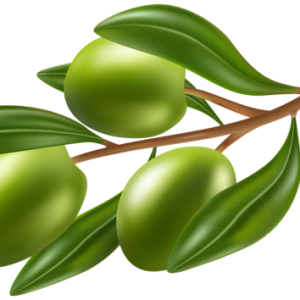 Olives PNG