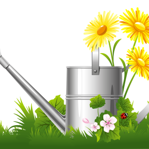 Watering can PNG