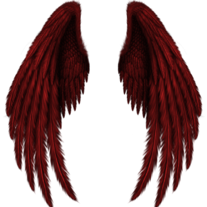 Wings PNG
