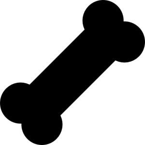Bone PNG