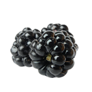 Blackberry PNG