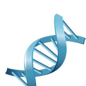 DNA PNG