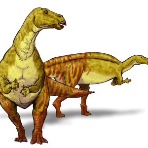 Dinosaur PNG