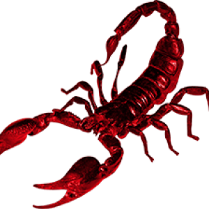 Scorpion PNG