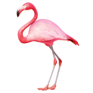 Flamingo PNG