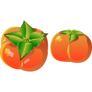 Persimmon PNG