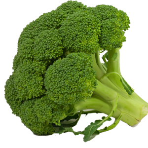 Broccoli PNG