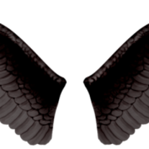 Wings PNG