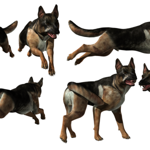 German Shepherd PNG