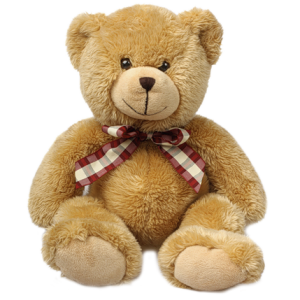 Teddy bear PNG