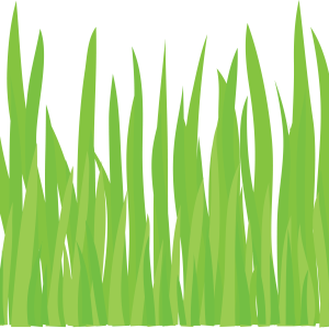 Grass PNG