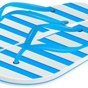 Flip-flops PNG