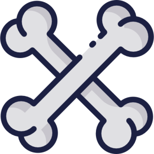 Bone PNG