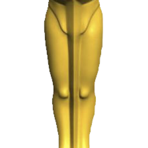 Academy Awards PNG, the Oscars PNG