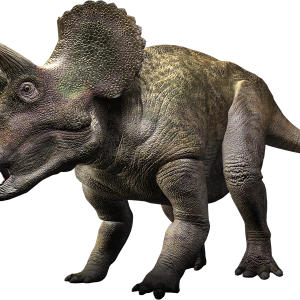 Dino PNG