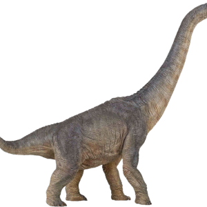 Dinosaur PNG