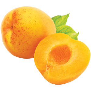 Apricot PNG