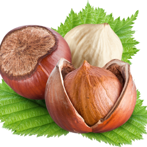 hazelnut PNG