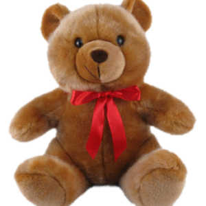 Teddy bear PNG