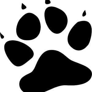 Paw PNG