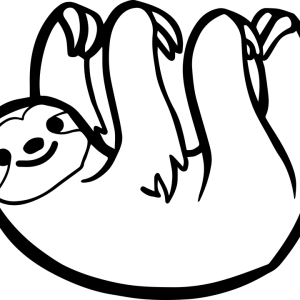 Sloth PNG