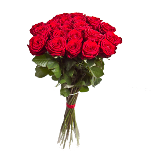 Bouquet flowers PNG
