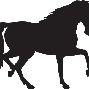 Black horse siluete png image